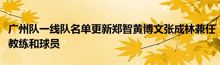 廣州隊(duì)一線(xiàn)隊(duì)名單更新鄭智黃博文張成林兼任教練和球員