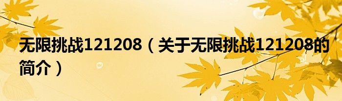 無(wú)限挑戰(zhàn)121208（關(guān)于無(wú)限挑戰(zhàn)121208的簡(jiǎn)介）