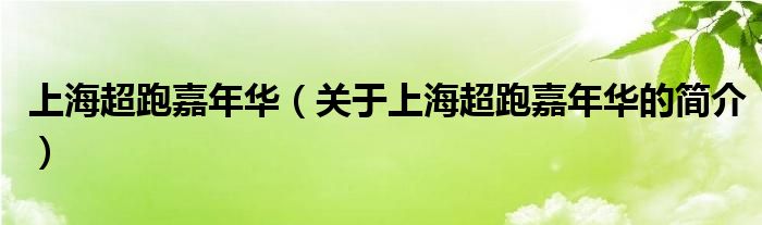 上海超跑嘉年華（關(guān)于上海超跑嘉年華的簡介）