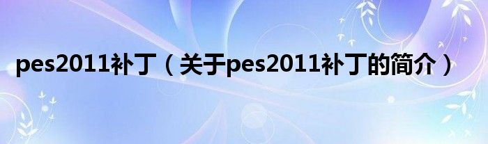 pes2011補?。P(guān)于pes2011補丁的簡介）