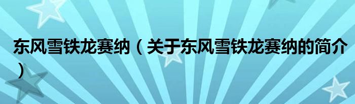 東風(fēng)雪鐵龍賽納（關(guān)于東風(fēng)雪鐵龍賽納的簡(jiǎn)介）