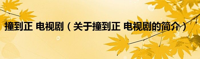 撞到正 電視?。P(guān)于撞到正 電視劇的簡介）