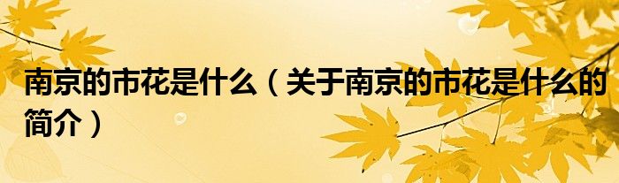 南京的市花是什么（關(guān)于南京的市花是什么的簡(jiǎn)介）