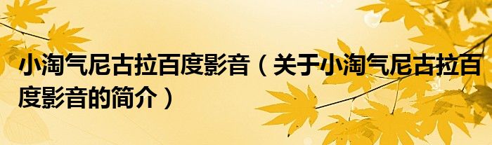 小淘氣尼古拉百度影音（關(guān)于小淘氣尼古拉百度影音的簡(jiǎn)介）