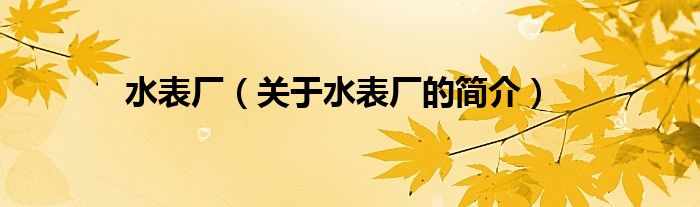 水表廠（關(guān)于水表廠的簡介）