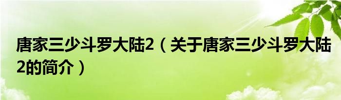 唐家三少斗羅大陸2（關(guān)于唐家三少斗羅大陸2的簡介）