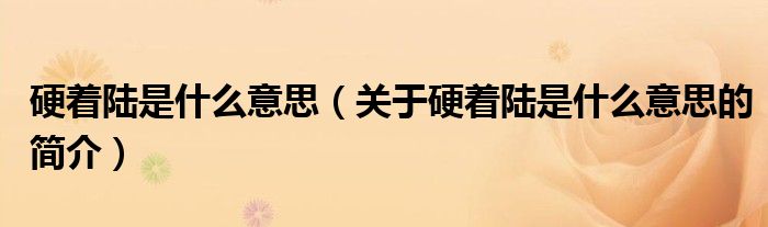 硬著陸是什么意思（關(guān)于硬著陸是什么意思的簡介）