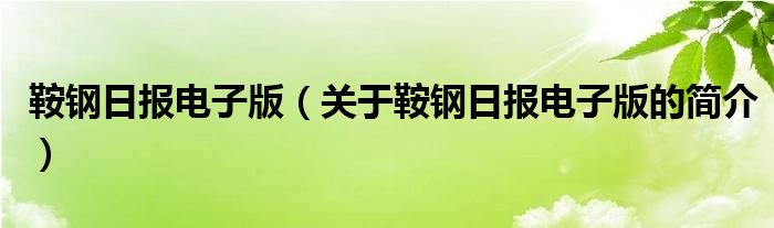 鞍鋼日報(bào)電子版（關(guān)于鞍鋼日報(bào)電子版的簡介）