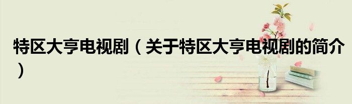 特區(qū)大亨電視?。P(guān)于特區(qū)大亨電視劇的簡(jiǎn)介）