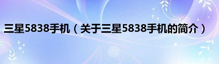 三星5838手機（關(guān)于三星5838手機的簡介）