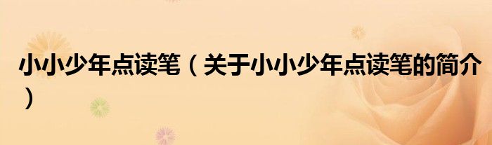 小小少年點(diǎn)讀筆（關(guān)于小小少年點(diǎn)讀筆的簡介）