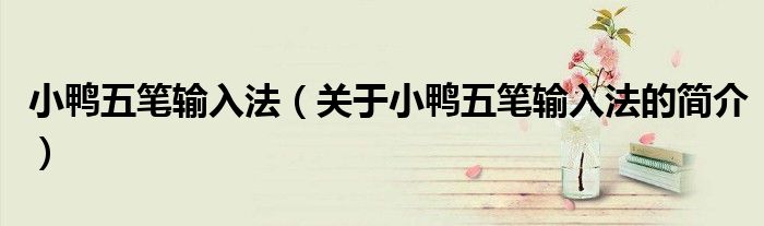 小鴨五筆輸入法（關(guān)于小鴨五筆輸入法的簡(jiǎn)介）