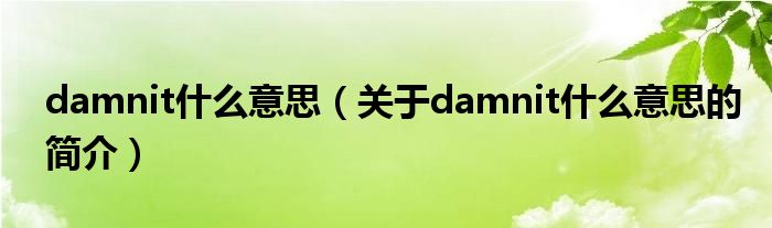 damnit什么意思（關(guān)于damnit什么意思的簡(jiǎn)介）