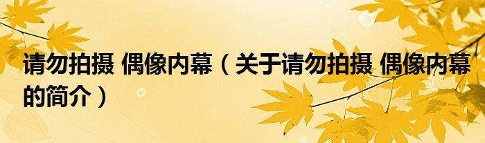 請(qǐng)勿拍攝 偶像內(nèi)幕（關(guān)于請(qǐng)勿拍攝 偶像內(nèi)幕的簡(jiǎn)介）