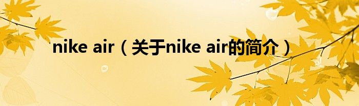 nike air（關(guān)于nike air的簡介）