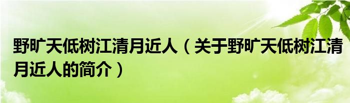 野曠天低樹江清月近人（關于野曠天低樹江清月近人的簡介）