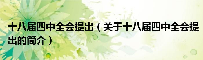 十八屆四中全會提出（關于十八屆四中全會提出的簡介）