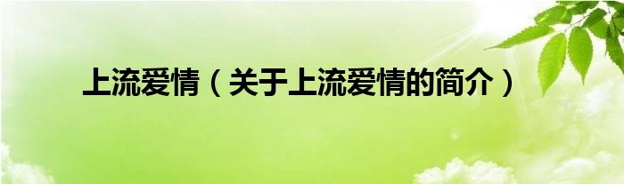 上流愛(ài)情（關(guān)于上流愛(ài)情的簡(jiǎn)介）