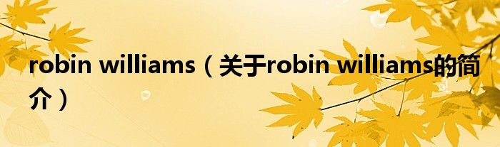 robin williams（關(guān)于robin williams的簡介）