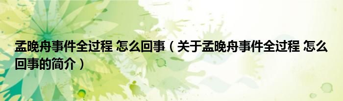 孟晚舟事件全過程 怎么回事（關(guān)于孟晚舟事件全過程 怎么回事的簡(jiǎn)介）