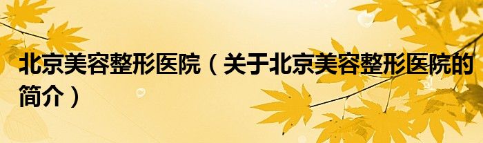 北京美容整形醫(yī)院（關于北京美容整形醫(yī)院的簡介）