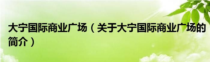 大寧國際商業(yè)廣場（關(guān)于大寧國際商業(yè)廣場的簡介）