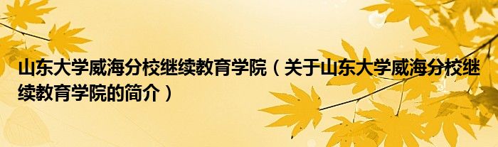 山東大學威海分校繼續(xù)教育學院（關(guān)于山東大學威海分校繼續(xù)教育學院的簡介）
