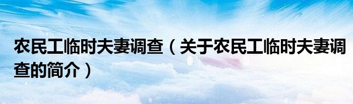 農民工臨時夫妻調查（關于農民工臨時夫妻調查的簡介）