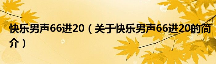 快樂男聲66進20（關于快樂男聲66進20的簡介）