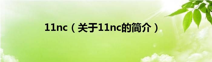 11nc（關于11nc的簡介）