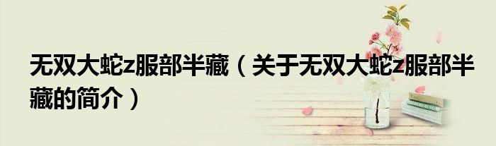 無雙大蛇z服部半藏（關于無雙大蛇z服部半藏的簡介）
