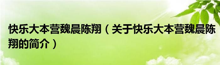 快樂大本營(yíng)魏晨陳翔（關(guān)于快樂大本營(yíng)魏晨陳翔的簡(jiǎn)介）