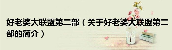 好老婆大聯盟第二部（關于好老婆大聯盟第二部的簡介）