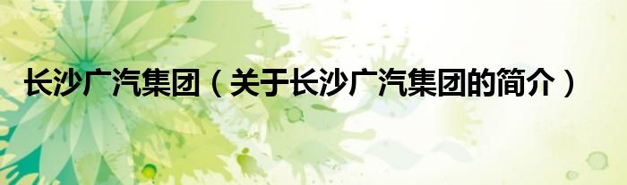 長沙廣汽集團（關(guān)于長沙廣汽集團的簡介）
