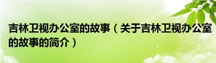 吉林衛(wèi)視辦公室的故事（關于吉林衛(wèi)視辦公室的故事的簡介）