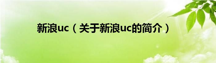 新浪uc（關于新浪uc的簡介）