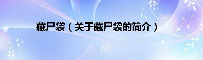 藏尸袋（關(guān)于藏尸袋的簡介）