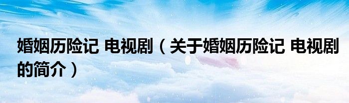 婚姻歷險記 電視?。P于婚姻歷險記 電視劇的簡介）