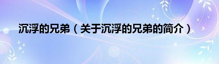 沉浮的兄弟（關(guān)于沉浮的兄弟的簡介）