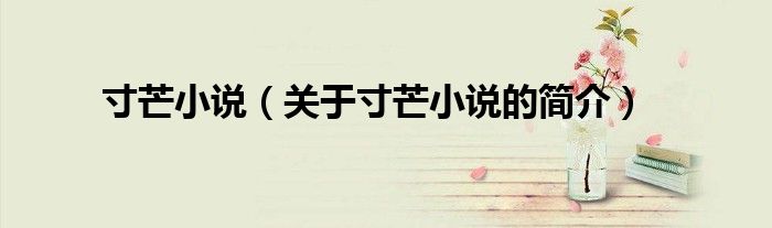 寸芒小說（關(guān)于寸芒小說的簡(jiǎn)介）