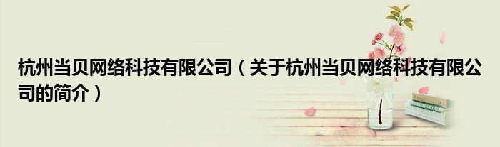 杭州當貝網(wǎng)絡(luò)科技有限公司（關(guān)于杭州當貝網(wǎng)絡(luò)科技有限公司的簡介）
