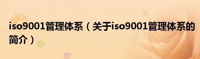 iso9001管理體系（關于iso9001管理體系的簡介）
