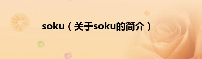 soku（關于soku的簡介）