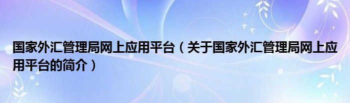 國家外匯管理局網(wǎng)上應用平臺（關(guān)于國家外匯管理局網(wǎng)上應用平臺的簡介）