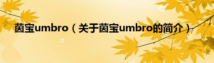 茵寶umbro（關(guān)于茵寶umbro的簡(jiǎn)介）