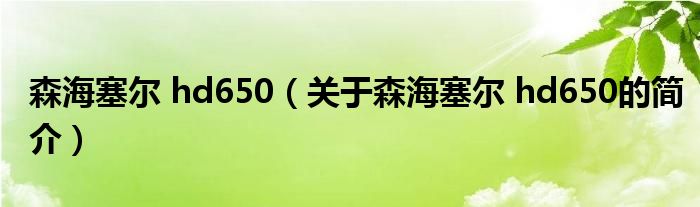 森海塞爾 hd650（關于森海塞爾 hd650的簡介）