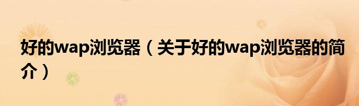 好的wap瀏覽器（關(guān)于好的wap瀏覽器的簡(jiǎn)介）