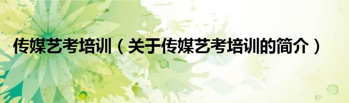 傳媒藝考培訓（關于傳媒藝考培訓的簡介）