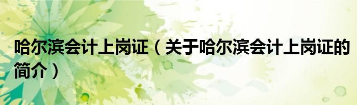 哈爾濱會計上崗證（關于哈爾濱會計上崗證的簡介）