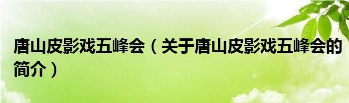 唐山皮影戲五峰會(huì)（關(guān)于唐山皮影戲五峰會(huì)的簡(jiǎn)介）
